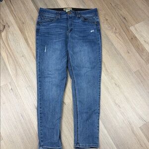 Democracy Ab Technology Skinny Ankle Medium Wash Women’s Jeans.  Size 12